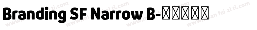 Branding SF Narrow B字体转换